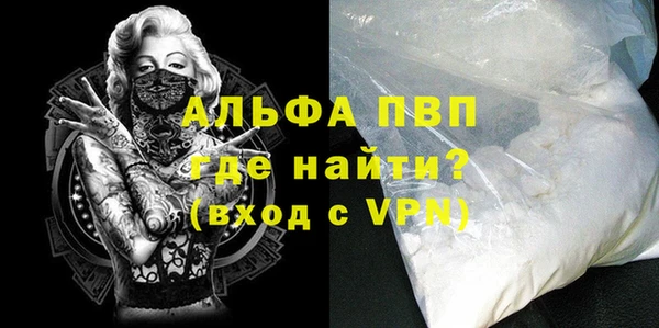 СК Белокуриха
